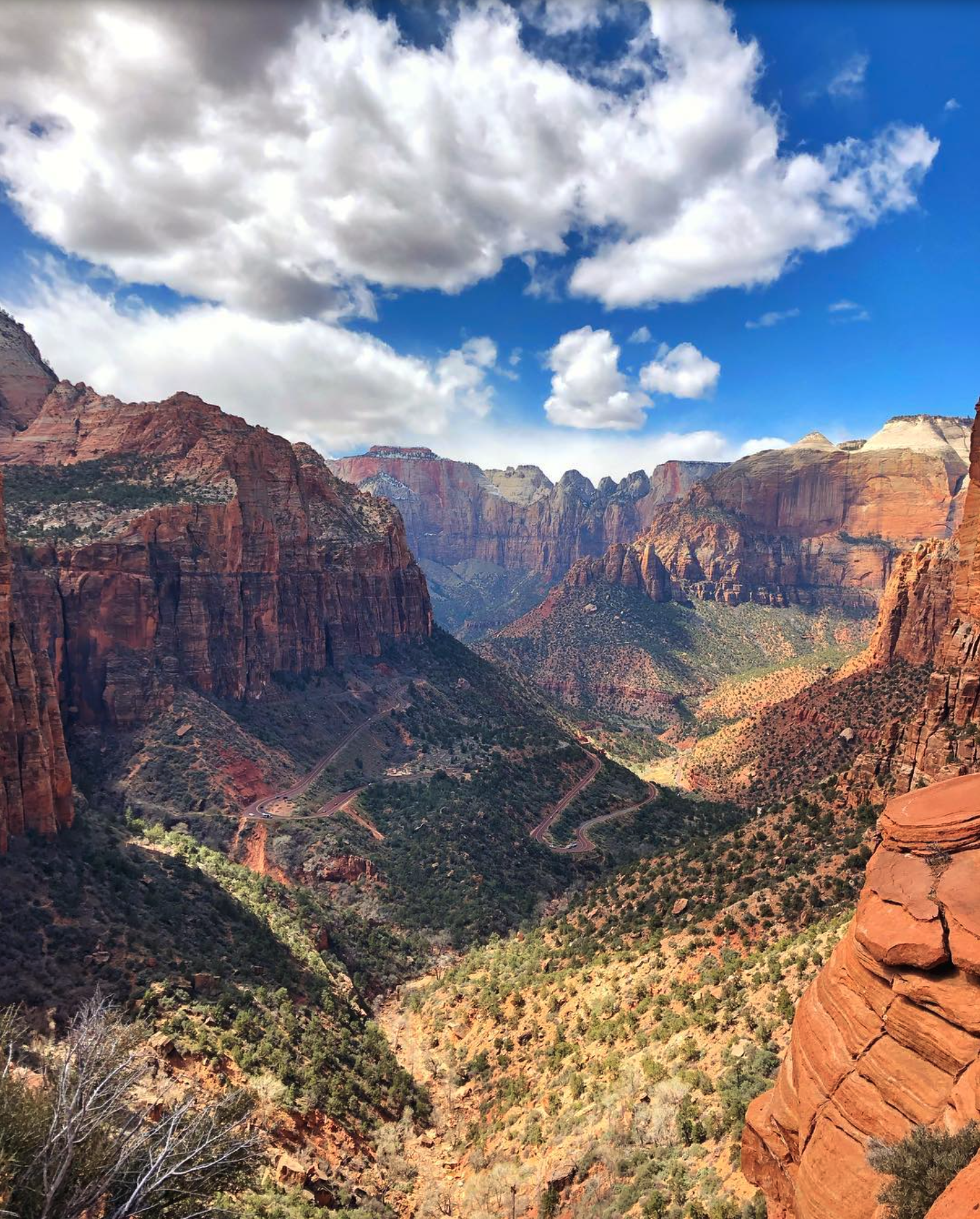 Zion